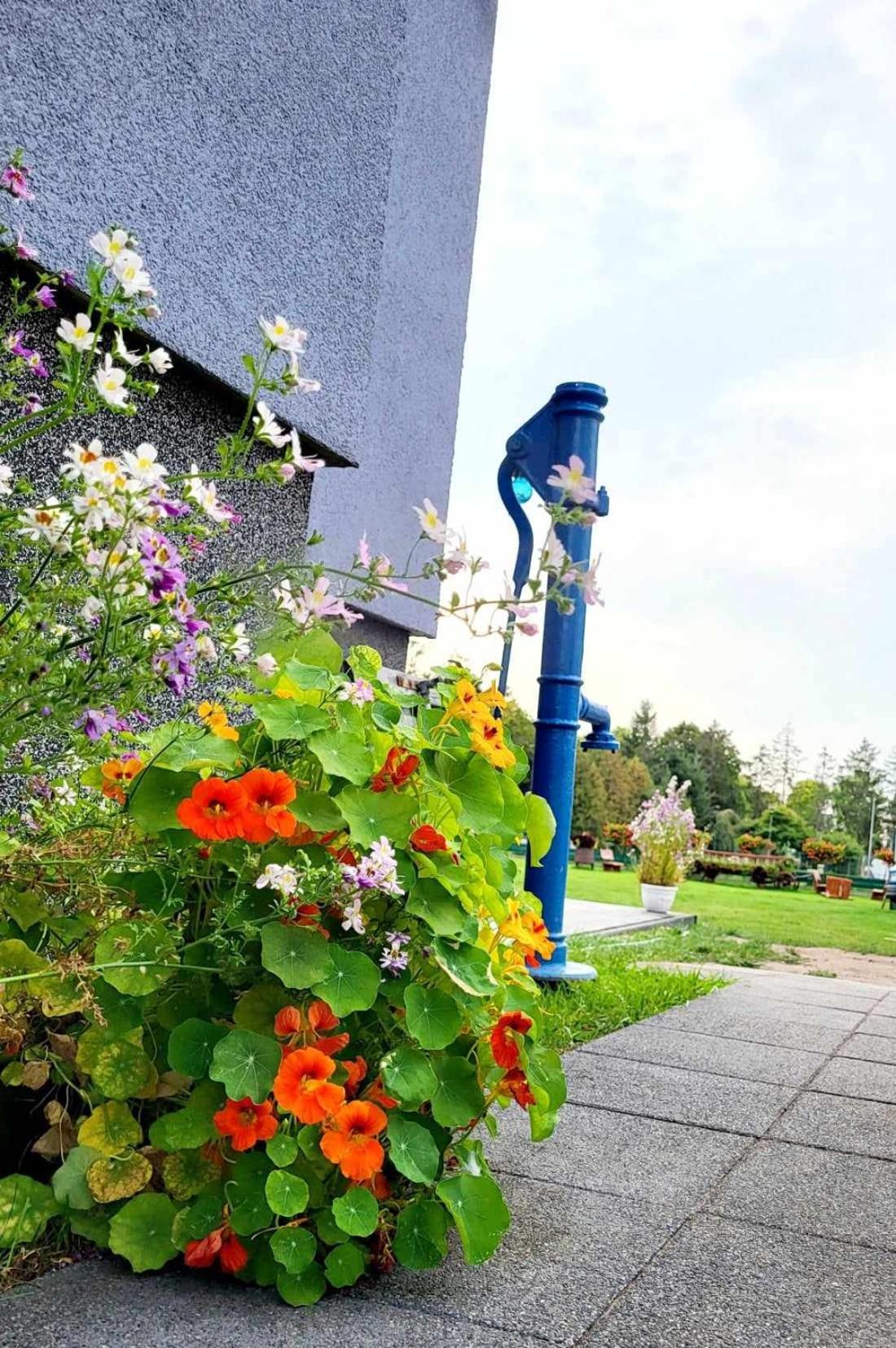 Villa Blue Mare أوسترونيه مورسكية المظهر الخارجي الصورة