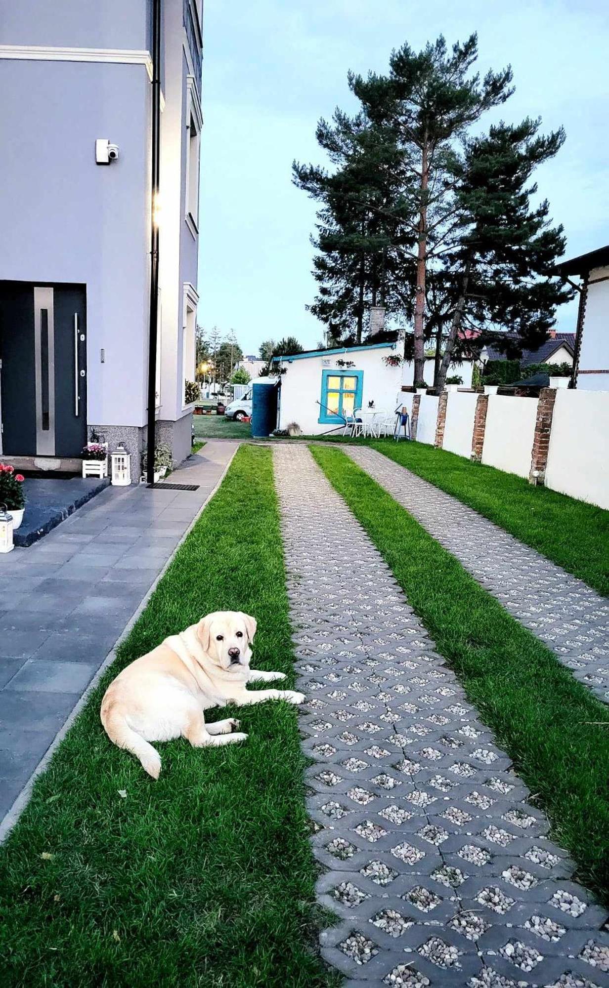 Villa Blue Mare أوسترونيه مورسكية المظهر الخارجي الصورة