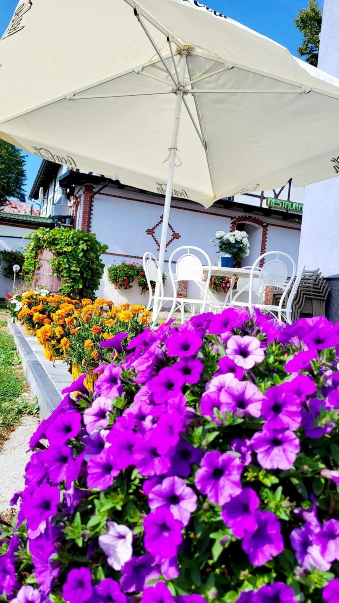 Villa Blue Mare أوسترونيه مورسكية المظهر الخارجي الصورة